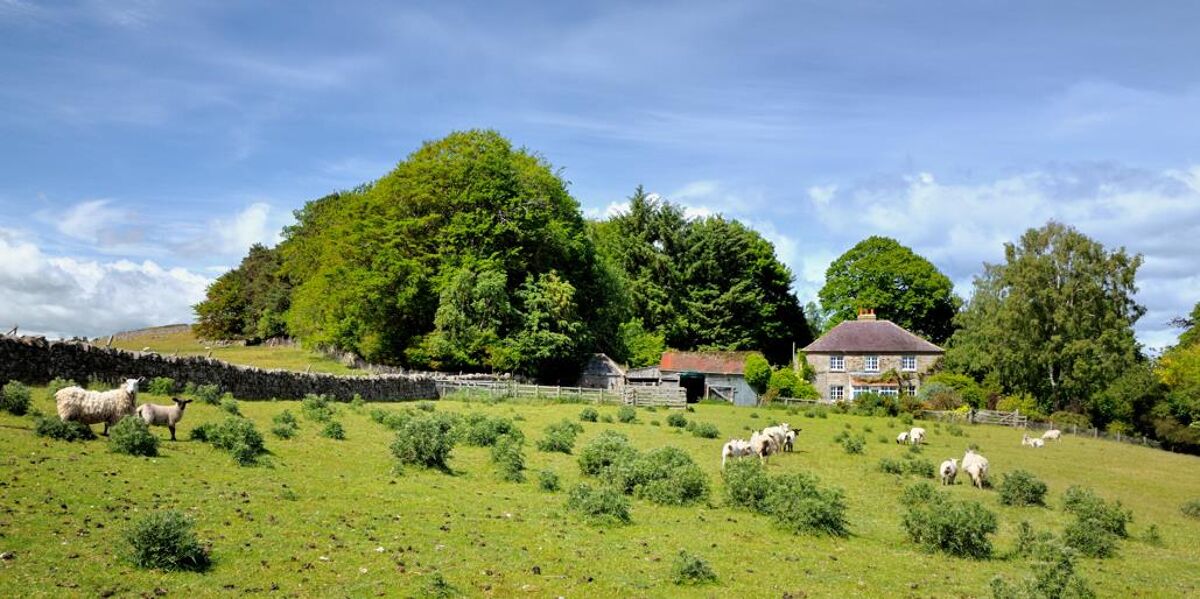 house for sale in Chatton, Wooler, Northumberland, NE71 LAU012032734