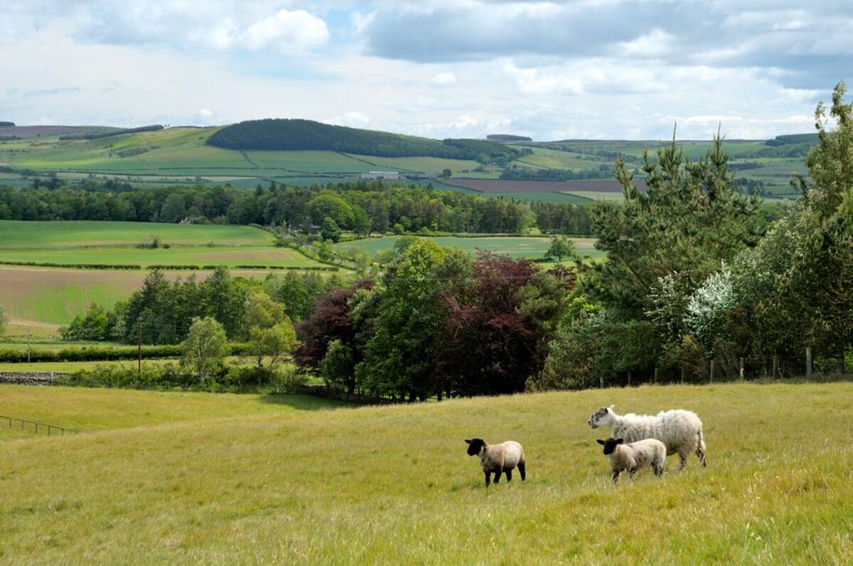 house for sale in Chatton, Wooler, Northumberland, NE71 LAU012032734