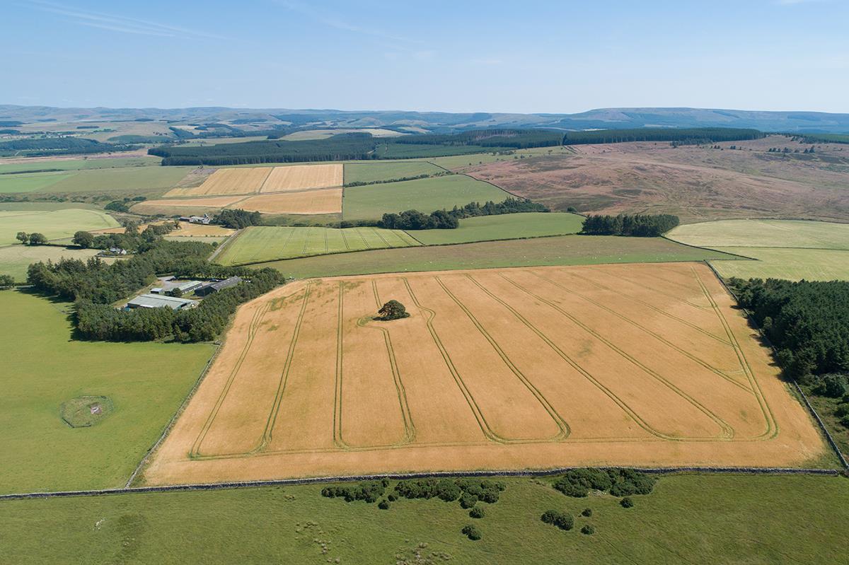 Land for sale in Jedburgh, Scottish Borders, TD8 LAU012243443