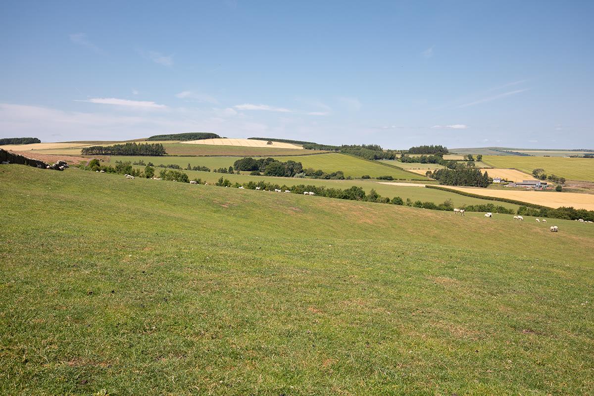 Land for sale in Jedburgh, Scottish Borders, TD8 LAU012243443