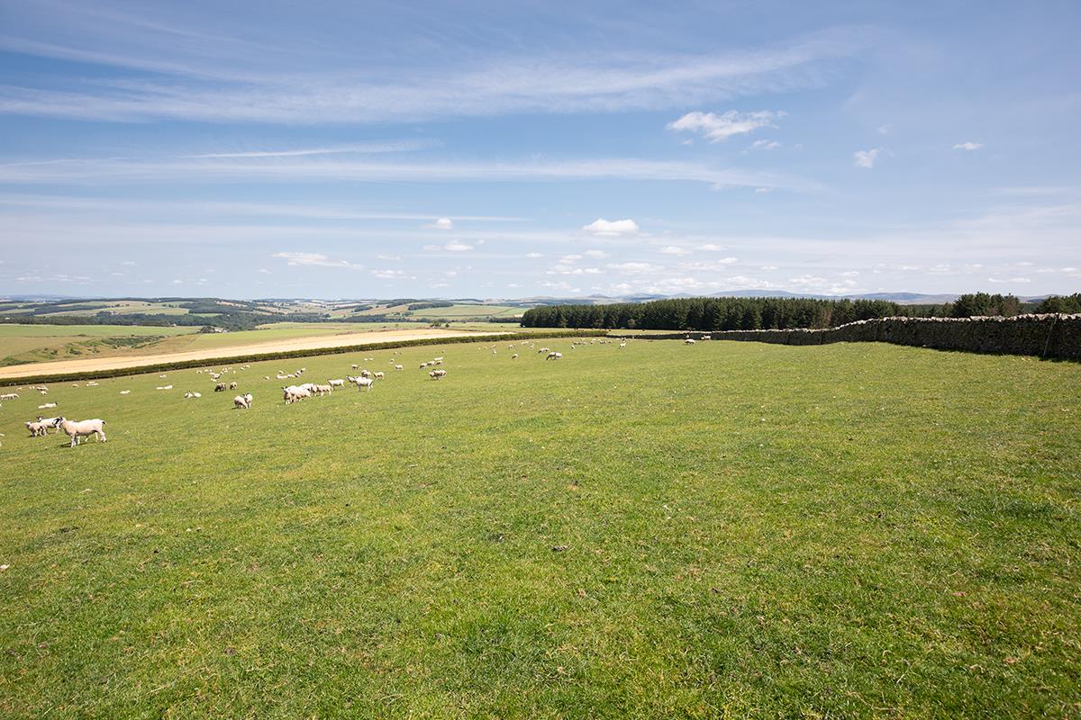 Land for sale in Jedburgh, Scottish Borders, TD8 LAU012243443