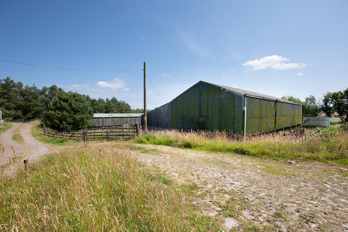 Land for sale in Jedburgh, Scottish Borders, TD8 LAU012243443