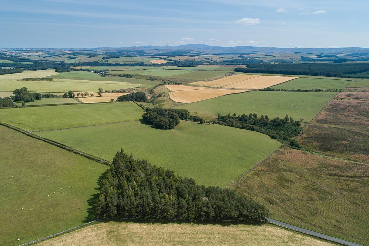 Land for sale in Jedburgh, Scottish Borders, TD8 LAU012243443