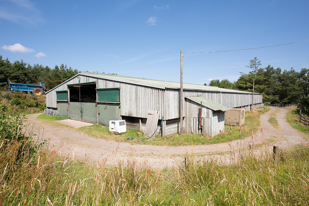 Land for sale in Jedburgh, Scottish Borders, TD8 LAU012243443