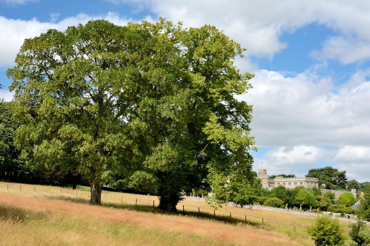 house for sale in Galahill, Jedburgh, Scottish Borders, TD8