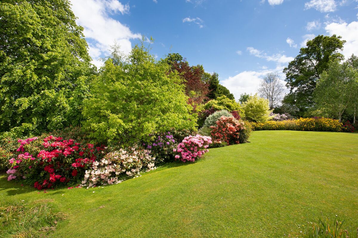 house for sale in St Boswells, Roxburghshire, TD6 LAU100057 Knight