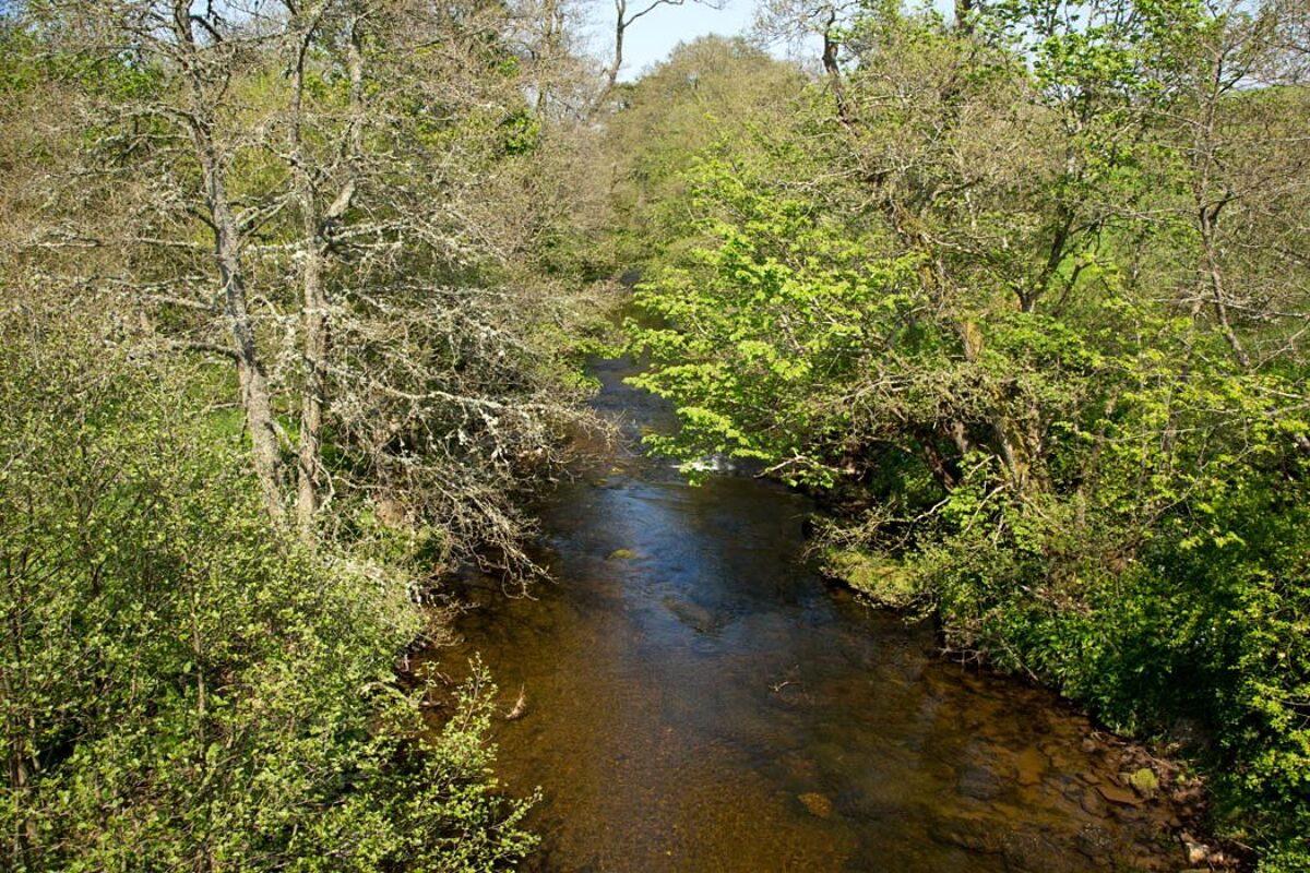 house for sale in Hallrule, Bonchester Bridge, Hawick, Roxburghshire, TD9 LAU120036 Knight Frank