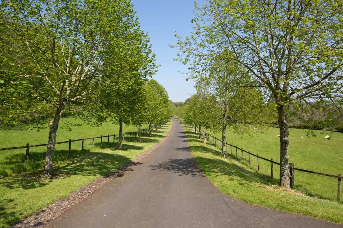 house for sale in Hallrule, Bonchester Bridge, Hawick, Roxburghshire