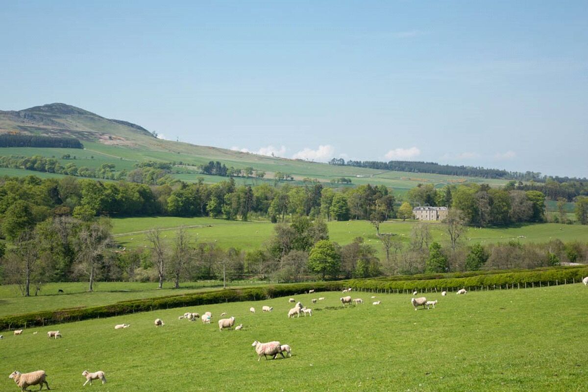 house for sale in Hallrule, Bonchester Bridge, Hawick, Roxburghshire