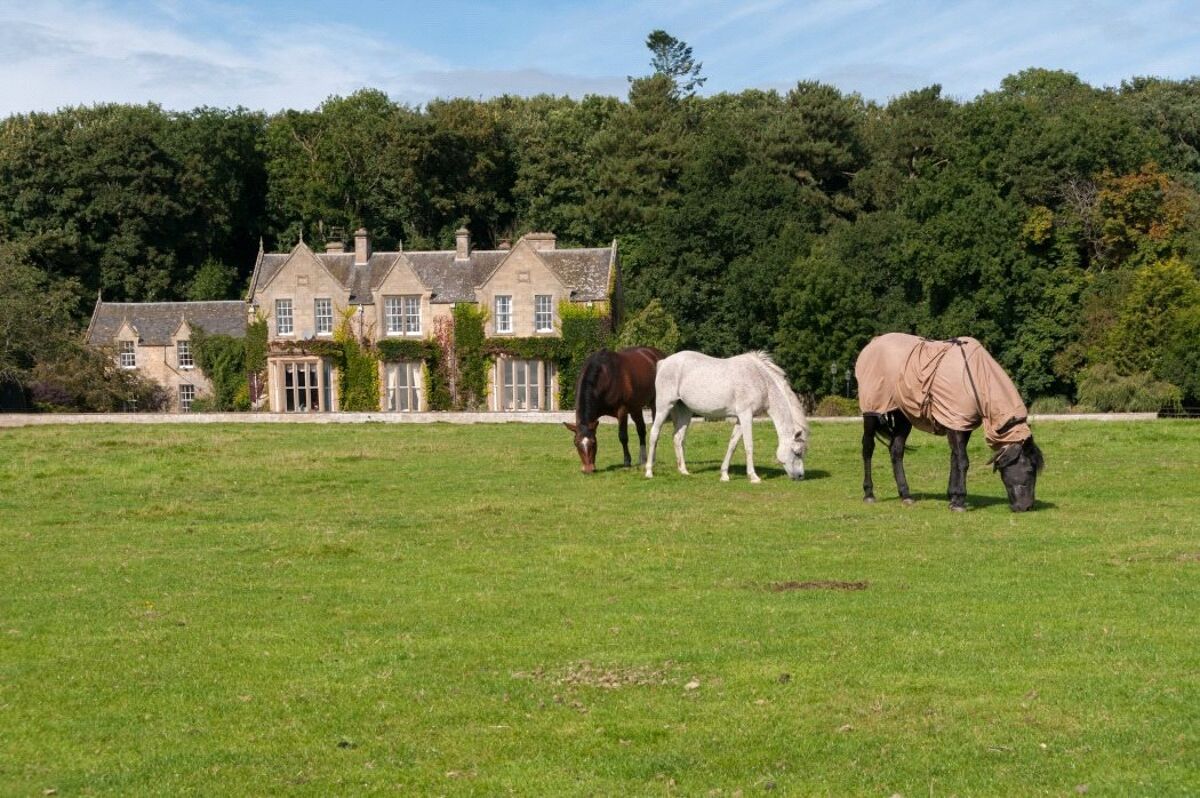 house for sale in Eden Hall, Kelso, Roxburghshire, TD5 LAU140003