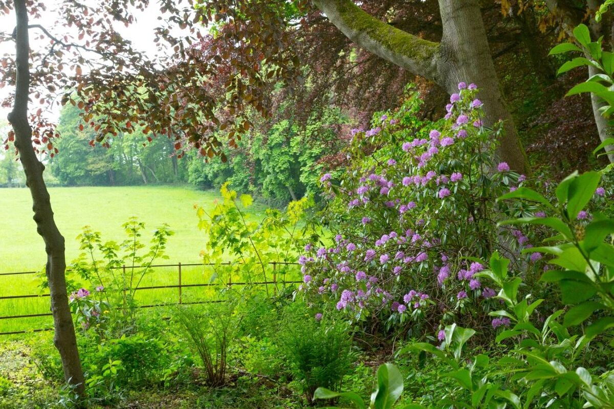 house for sale in West Grange, Scots Gap, Morpeth, Northumberland, NE61