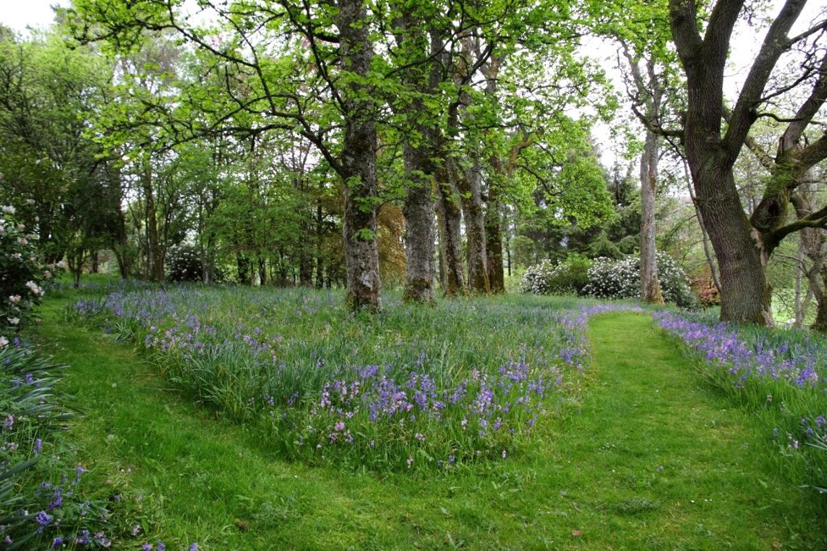 house for sale in Traquair, Peeblesshire, Scottish Borders, EH44