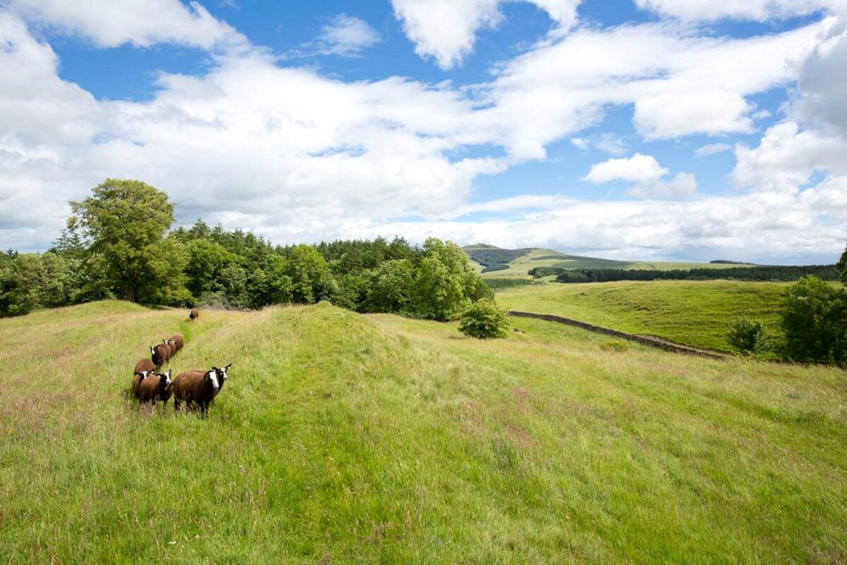 house for sale in Cavers, Denholm, Scottish Borders, TD9 LAU160035