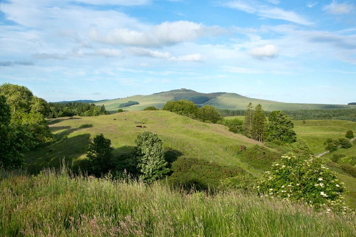 house for sale in Cavers, Denholm, Scottish Borders, TD9 LAU160035