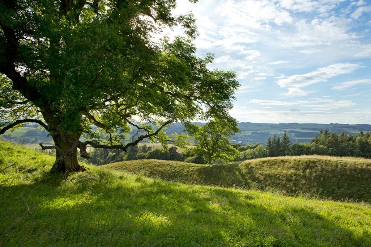 house for sale in Cavers, Denholm, Scottish Borders, TD9 LAU160035