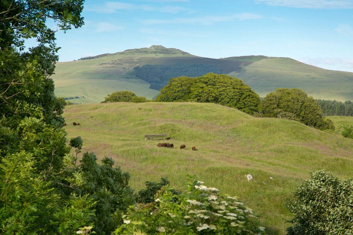 house for sale in Cavers, Denholm, Scottish Borders, TD9 LAU160035