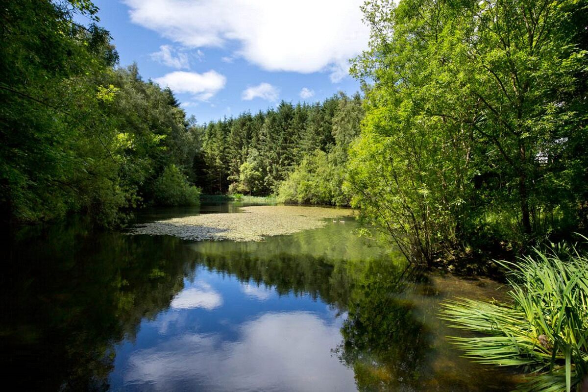 house for sale in Cavers, Denholm, Scottish Borders, TD9 LAU160035