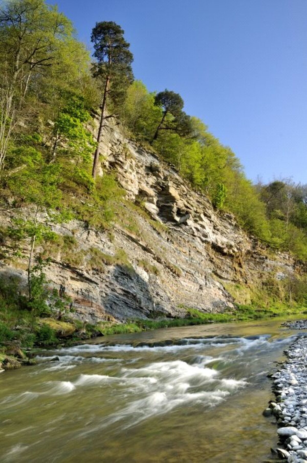 flat for sale in The Riverview, Edington Mill, Duns, Scottish Borders