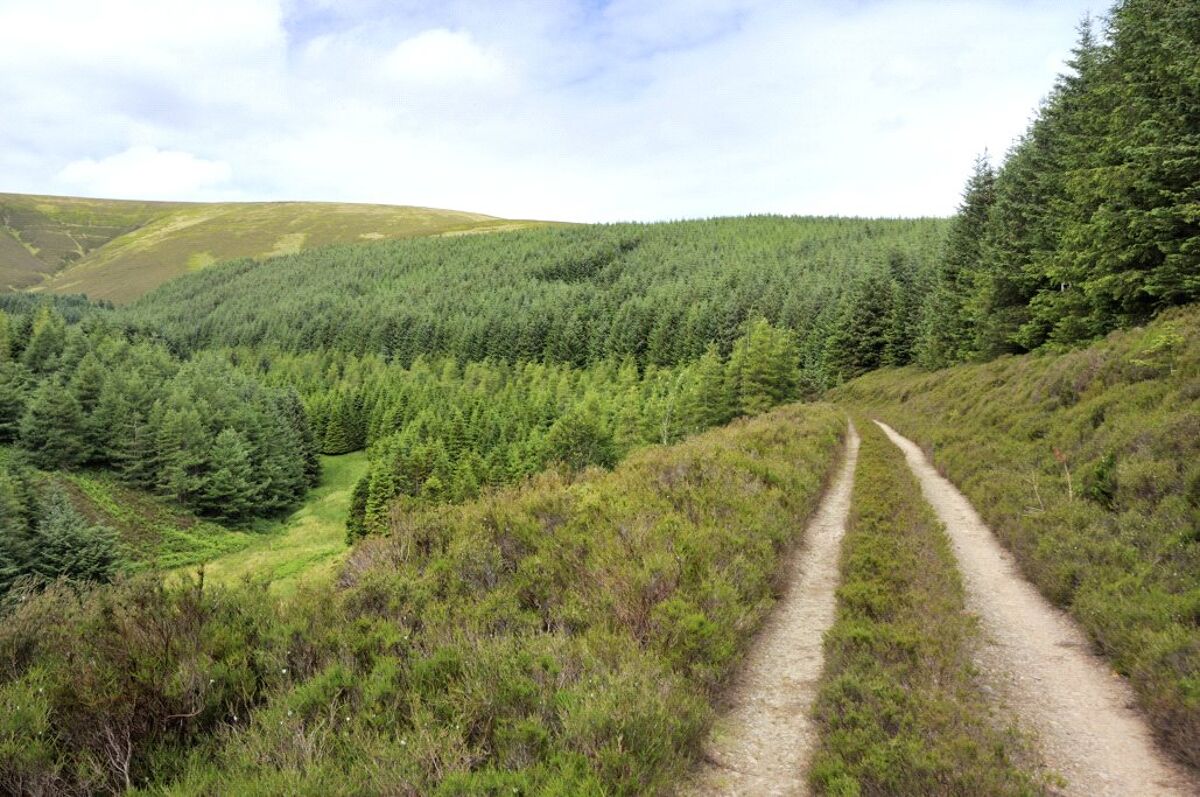 estate for sale in Selkirk, Scottish Borders, TD7 LAU180010 Knight Frank