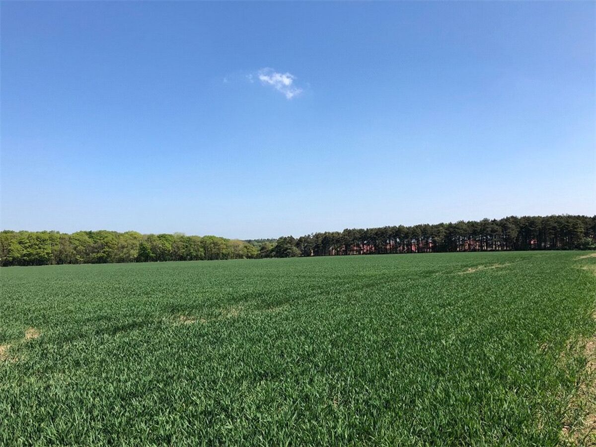 Land for sale in Tranwell Woods, Morpeth, Northumberland, NE61