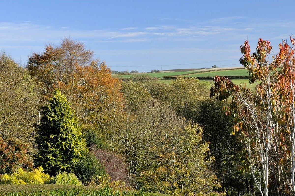 bungalow for sale in Lennel, Coldstream, Scottish Borders, TD12