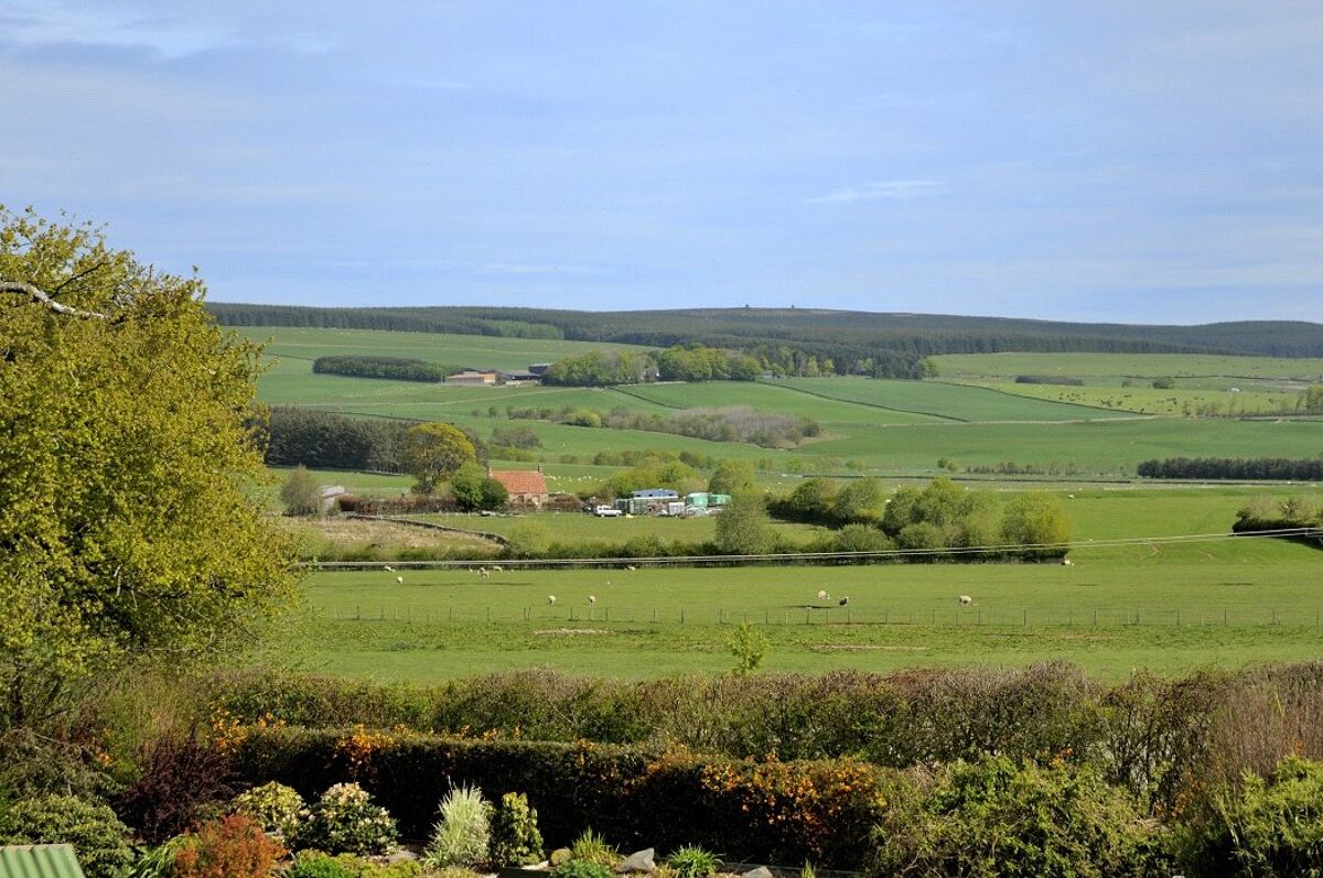 house for sale in Howlet's Ha, Westruther, Scottish Borders, TD3