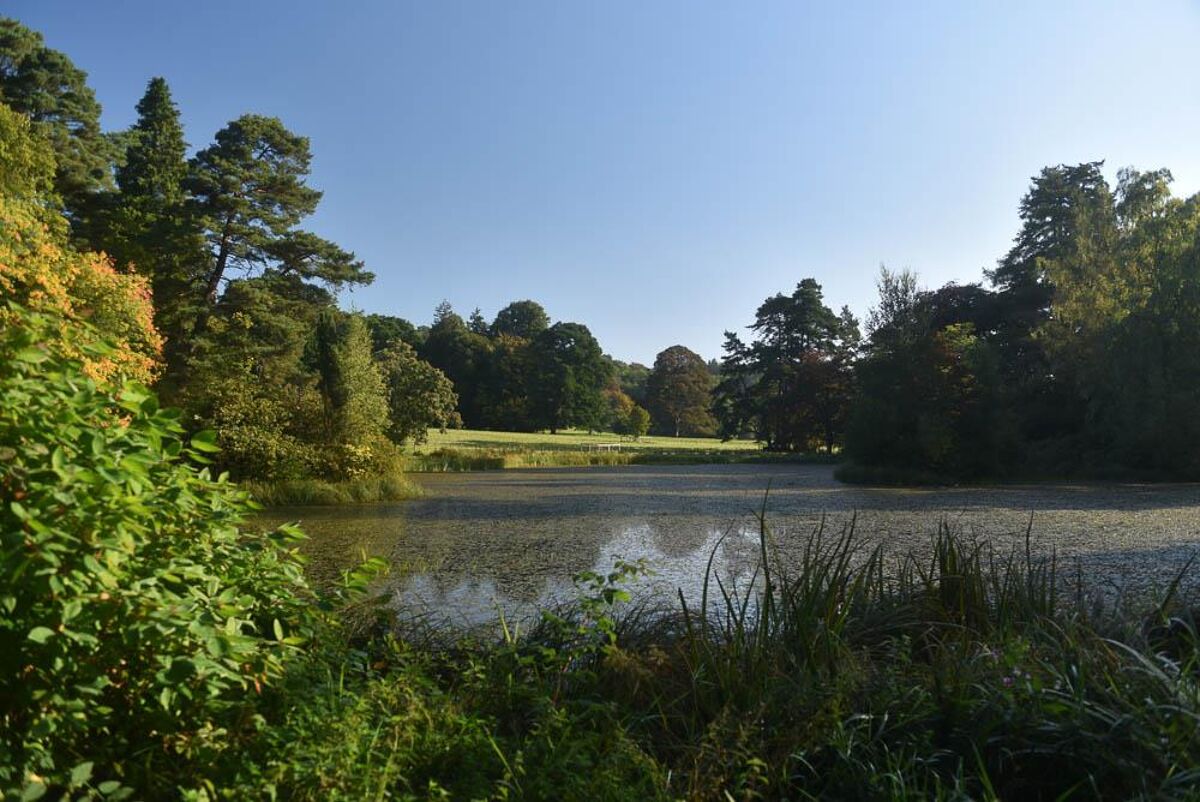 house for sale in Haltwhistle, Northumberland, NE49 LAU190053