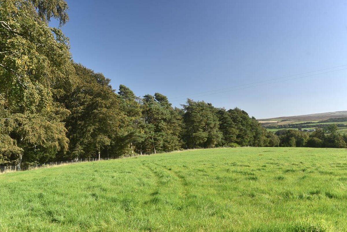 house for sale in Haltwhistle, Northumberland, NE49 LAU190053 Knight Frank