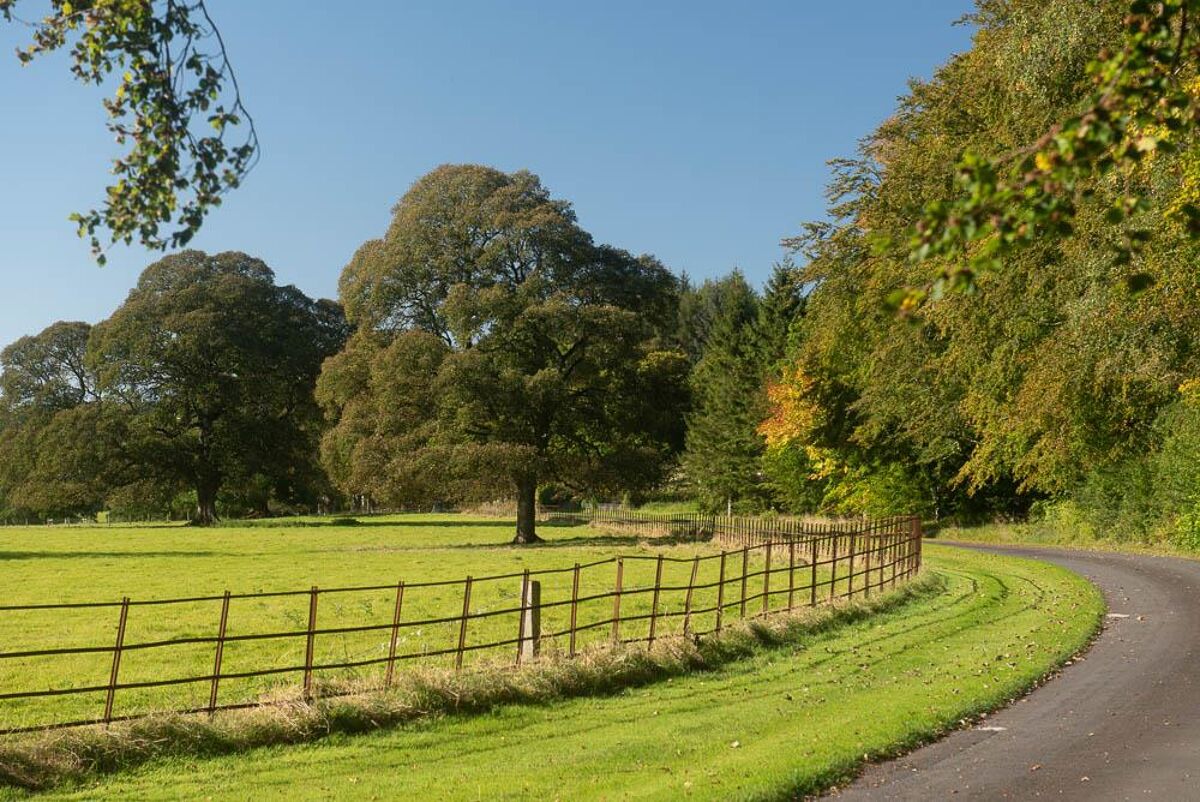 house for sale in Haltwhistle, Northumberland, NE49 LAU190053