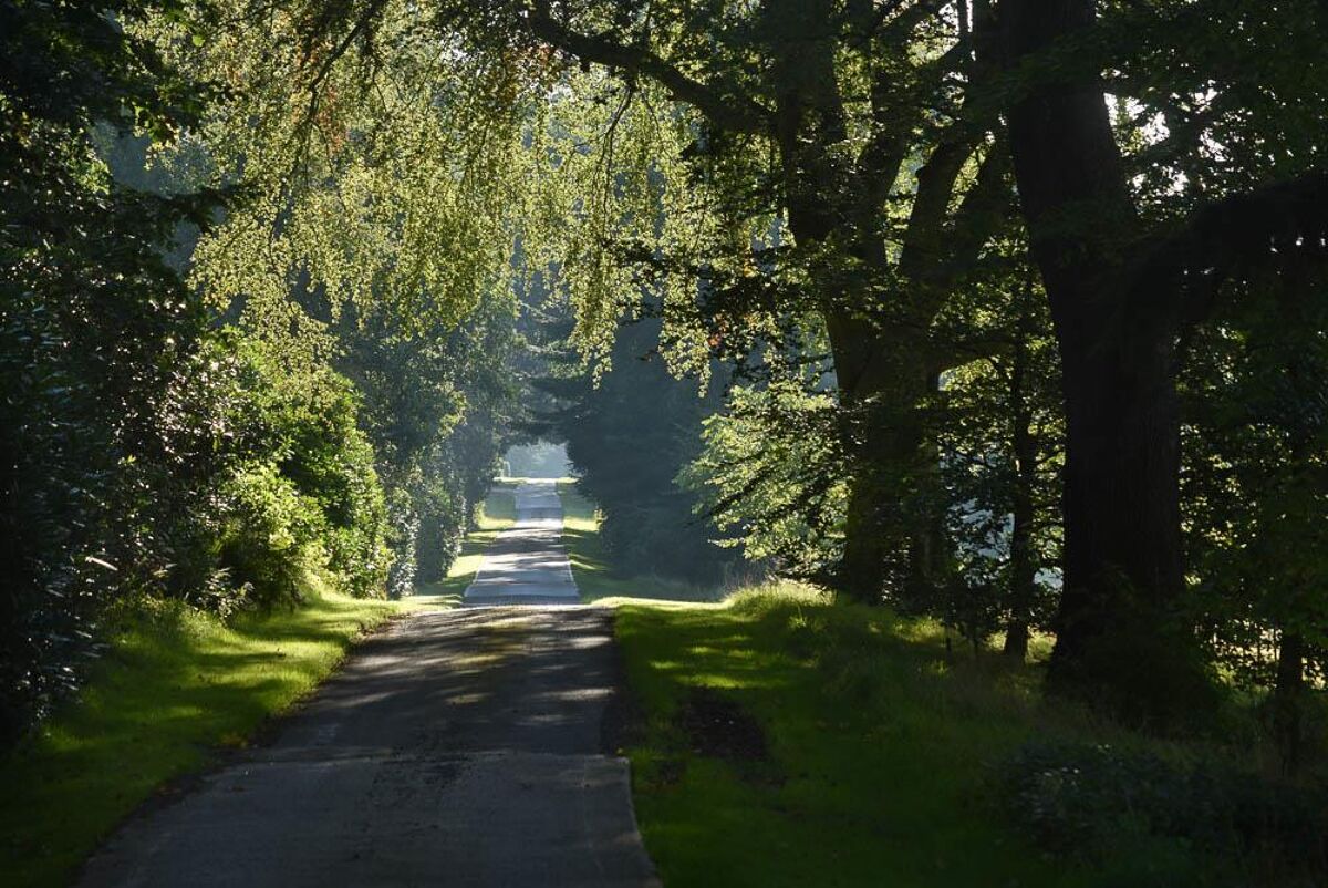 house for sale in Haltwhistle, Northumberland, NE49 LAU190053