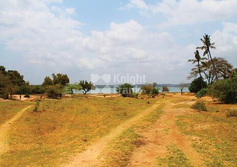 Picture of Land for sale.
