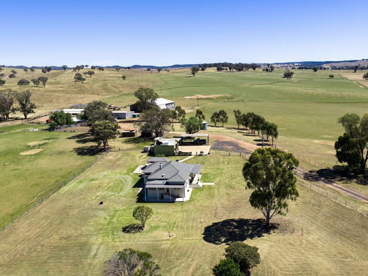 499 Mebul Road, GULGONG, Mebul - Image 1