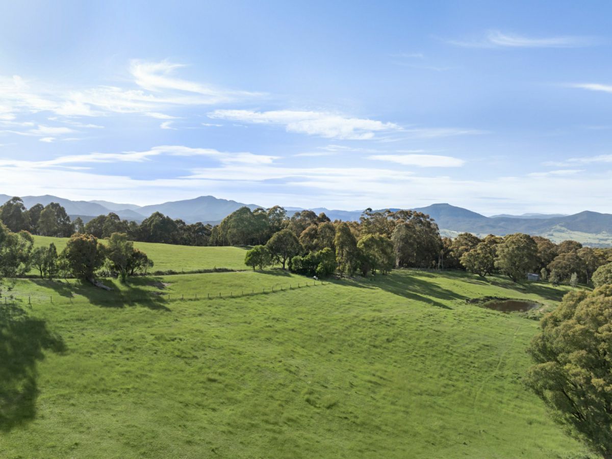 696 Glenroy Road, MERRIJIG, Merrijig - Thumbnail 4