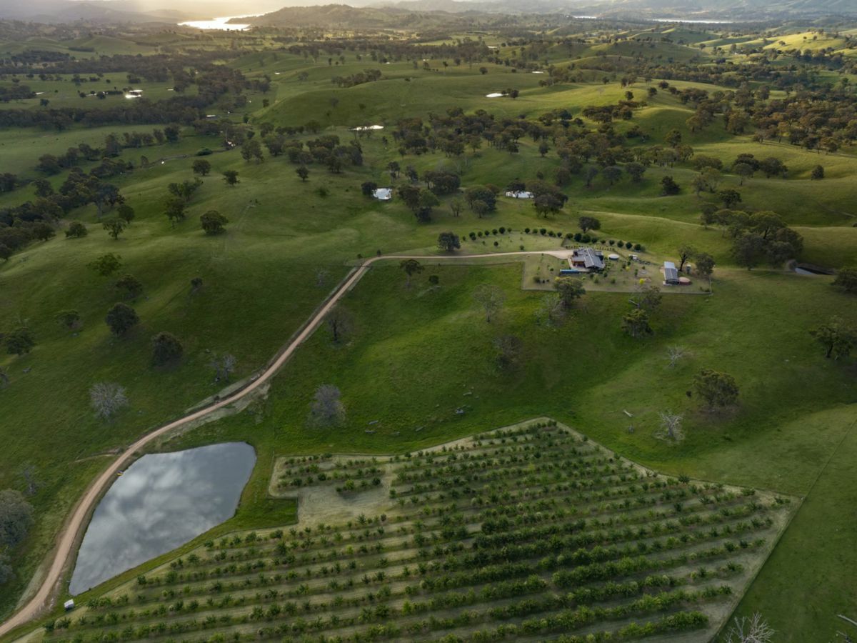 606 Monkey Gully Road, MANSFIELD, Mansfield - Thumbnail 2