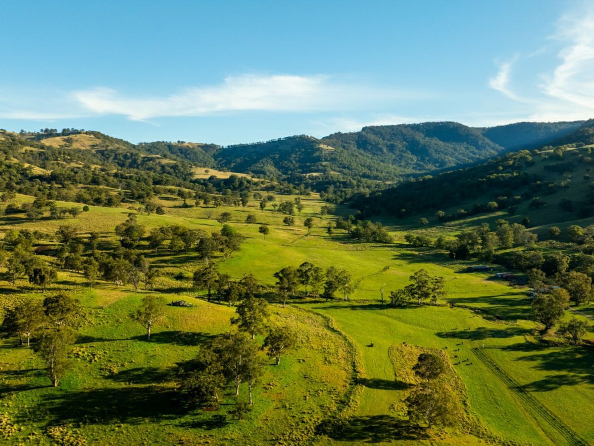531 Pages River Road, MURRURUNDI, Pages River - Thumbnail 2