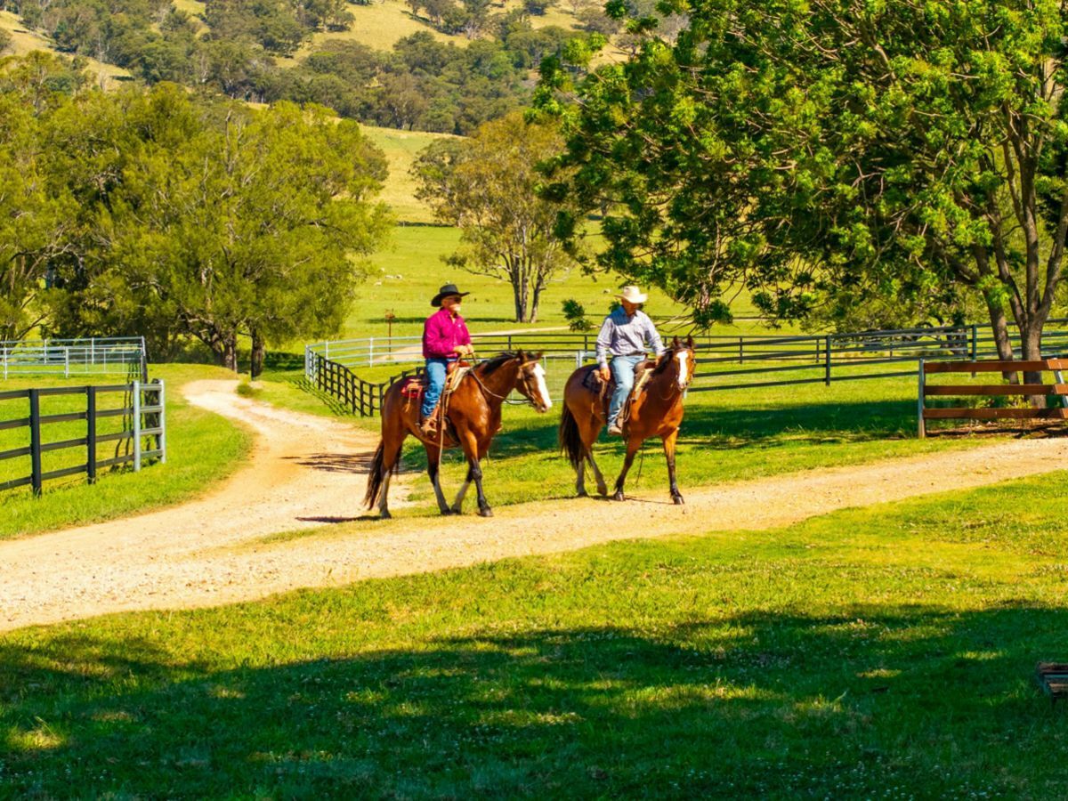 531 Pages River Road, MURRURUNDI, Pages River - Thumbnail 7