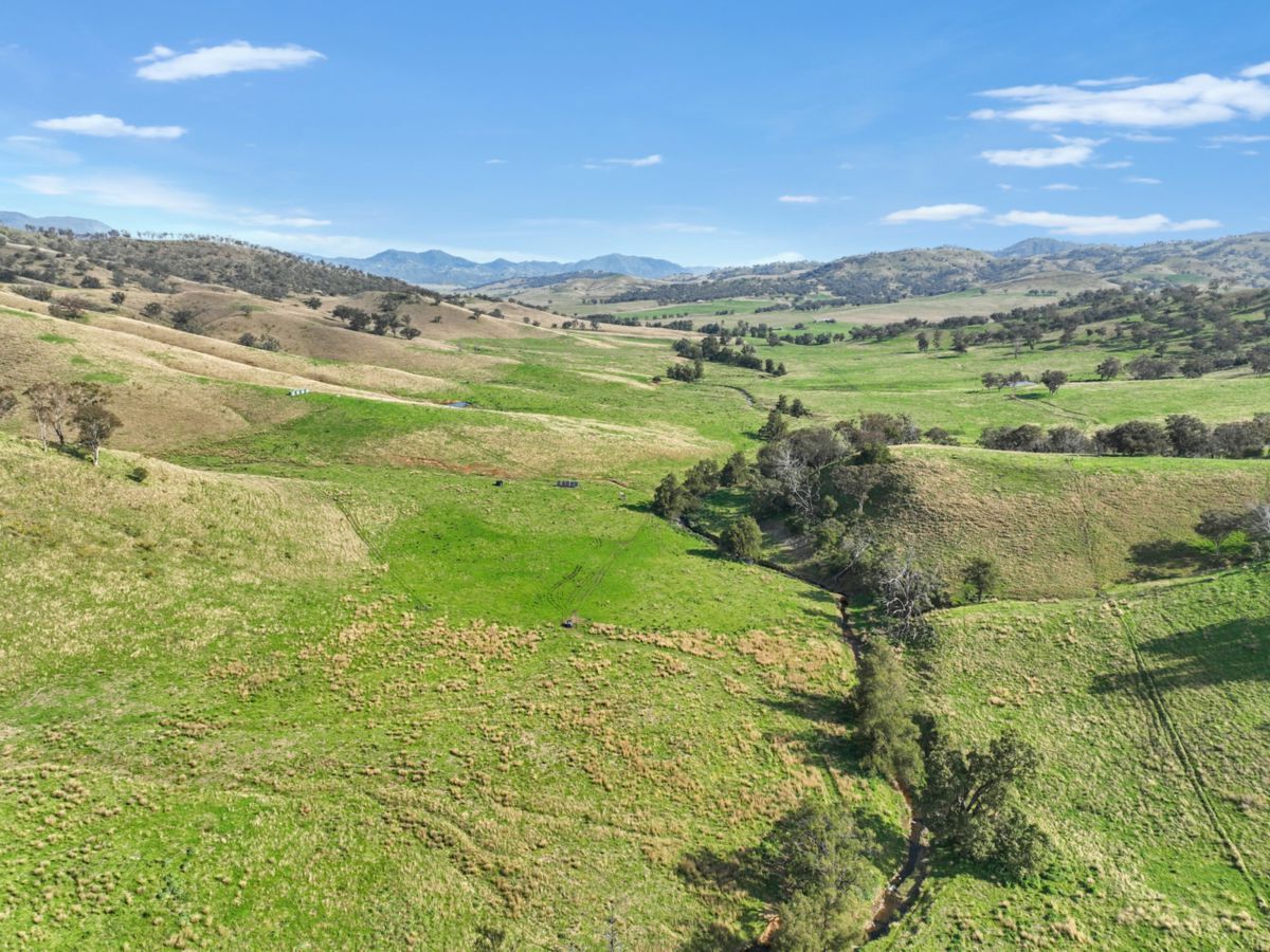 650 Donalds Creek Road, SCONE, Scone - Thumbnail 5