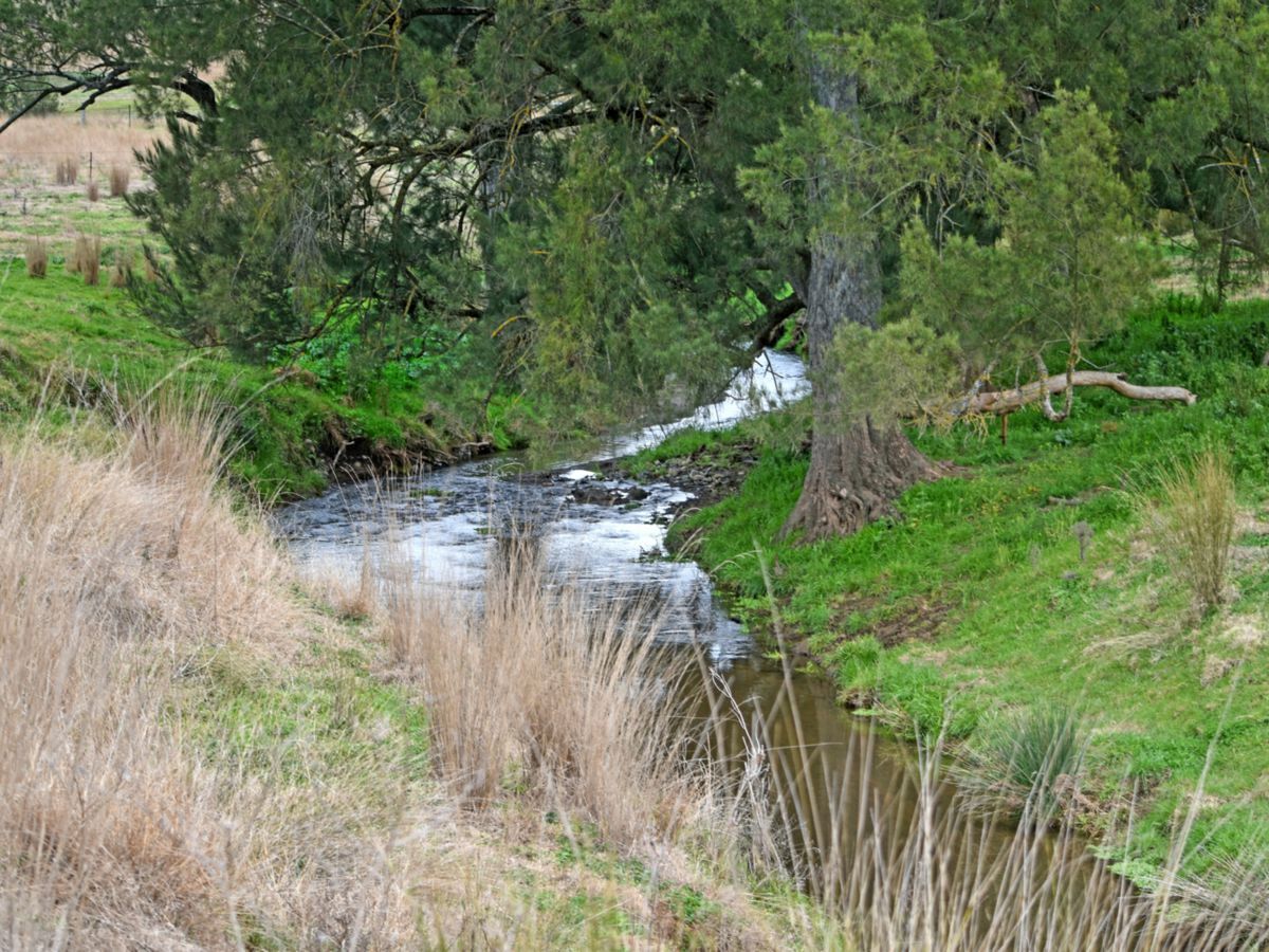 650 Donalds Creek Road, SCONE, Scone - Thumbnail 8