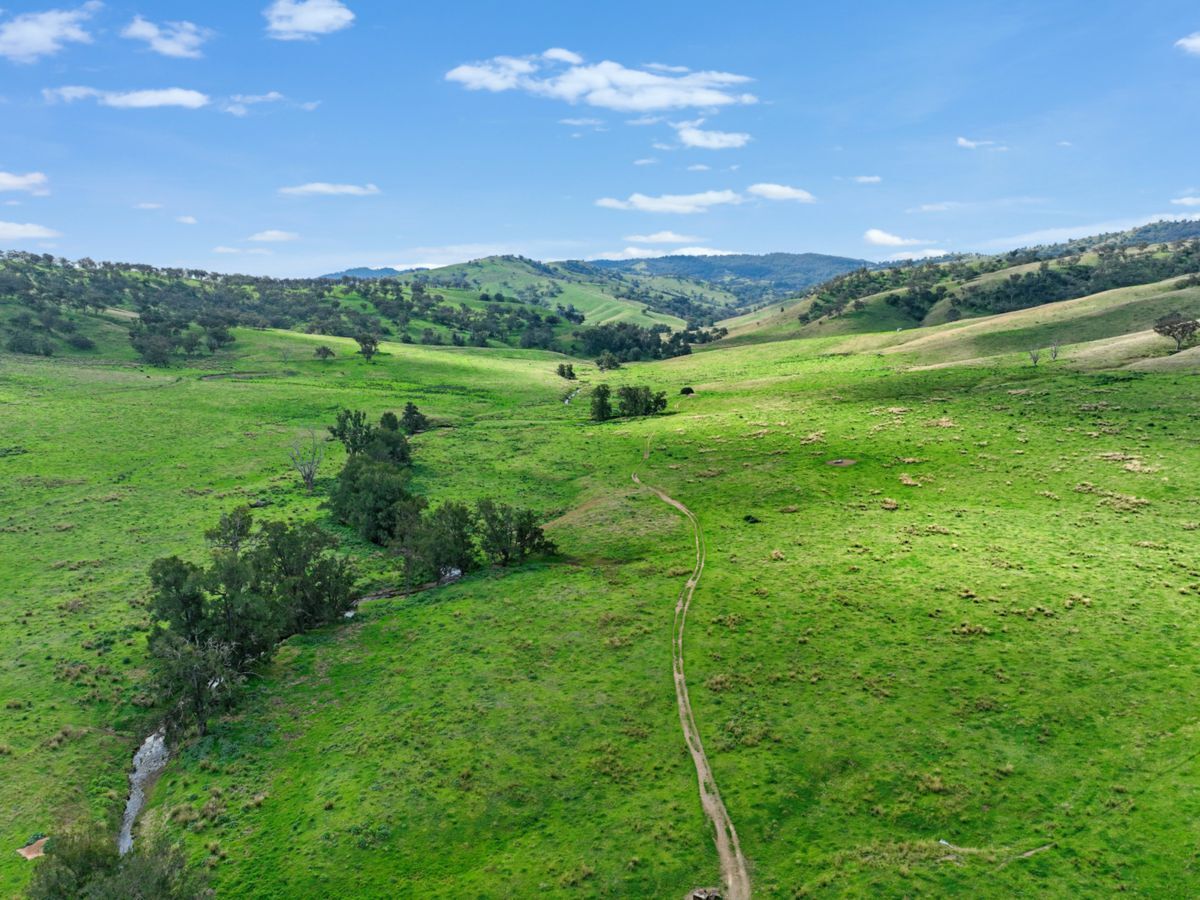 650 Donalds Creek Road, SCONE, Scone - Thumbnail 7