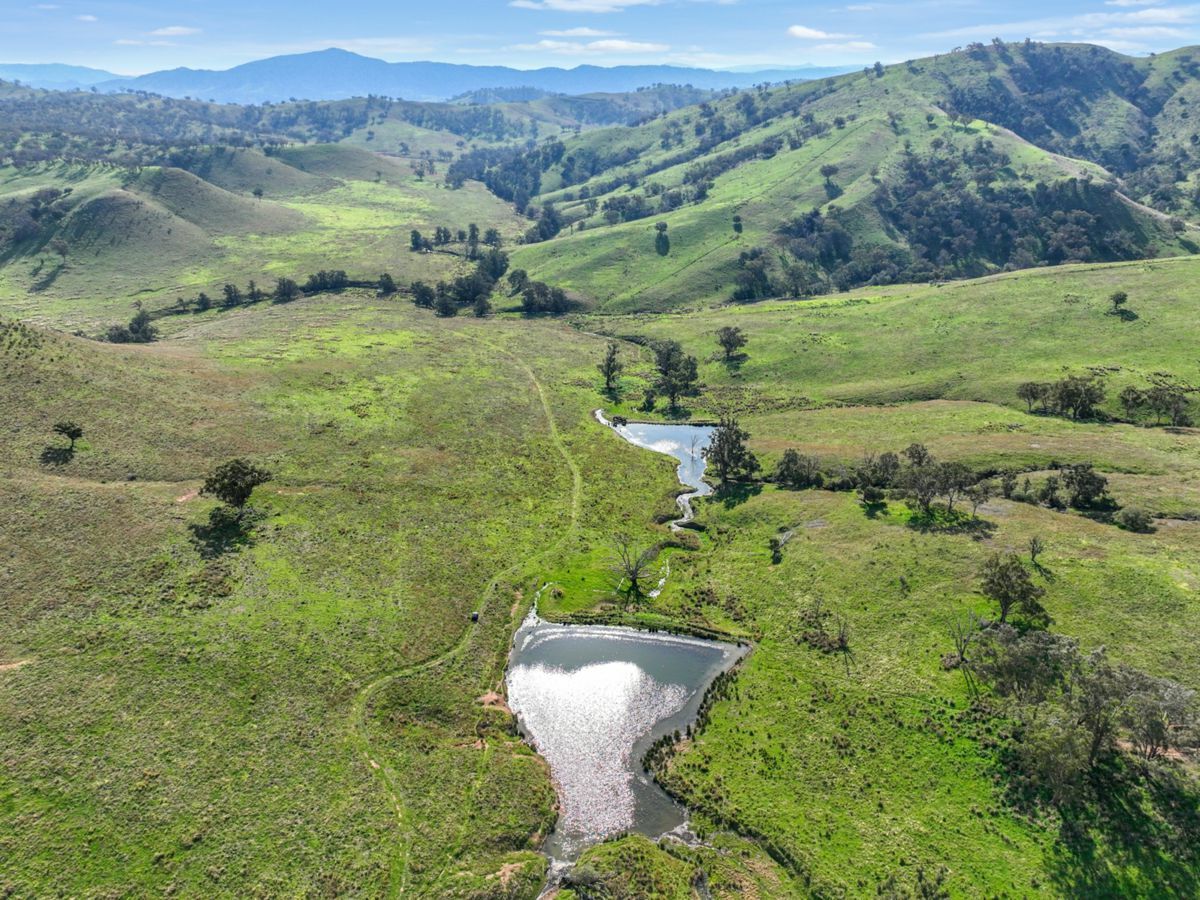 650 Donalds Creek Road, SCONE, Scone - Thumbnail 4