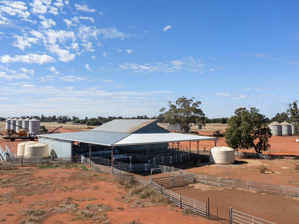 4229 Bobadah Road, BOBADAH, Bobadah - Thumbnail 3