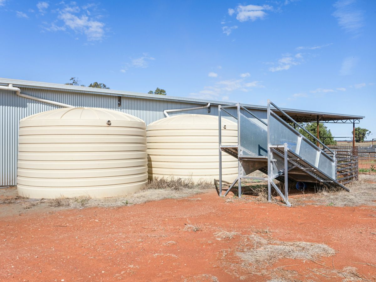 4229 Bobadah Road, BOBADAH, Bobadah - Thumbnail 5