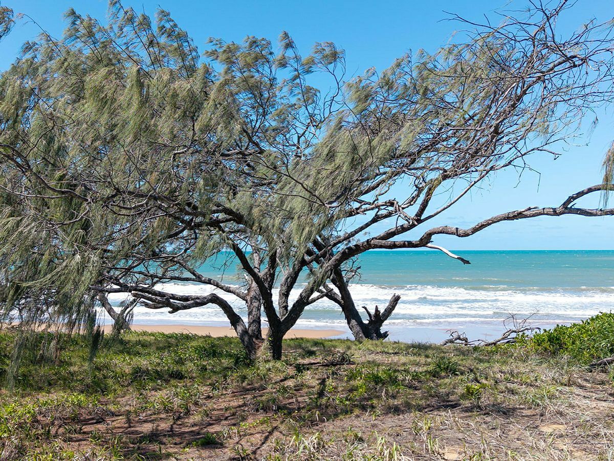 17 Thomson Street, AGNES WATER, Agnes Water - Thumbnail 5