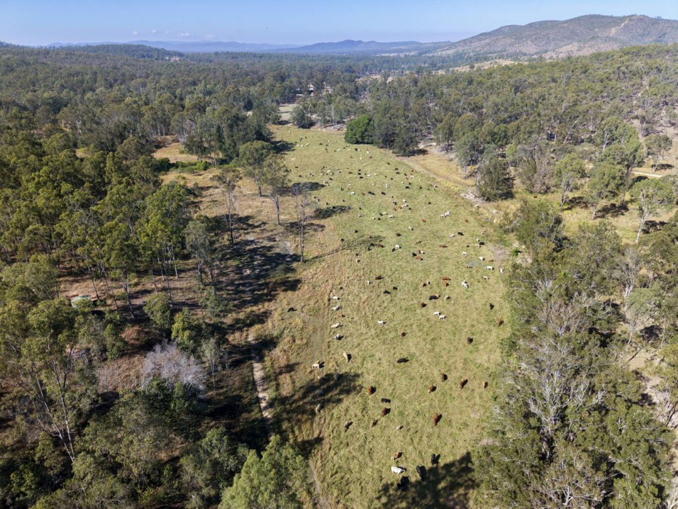Image of 43 & 50 Kaliwa Road, MINGO