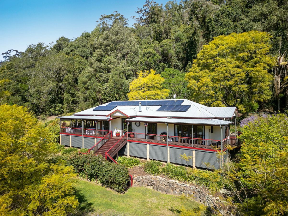 40 Bumbles Creek Road, OURIMBAH, Ourimbah - Thumbnail 4