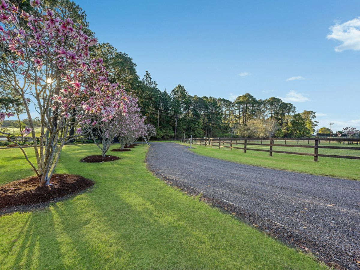 1622 Wisemans Ferry Road, CENTRAL MANGROVE, Central Mangrove - Thumbnail 4