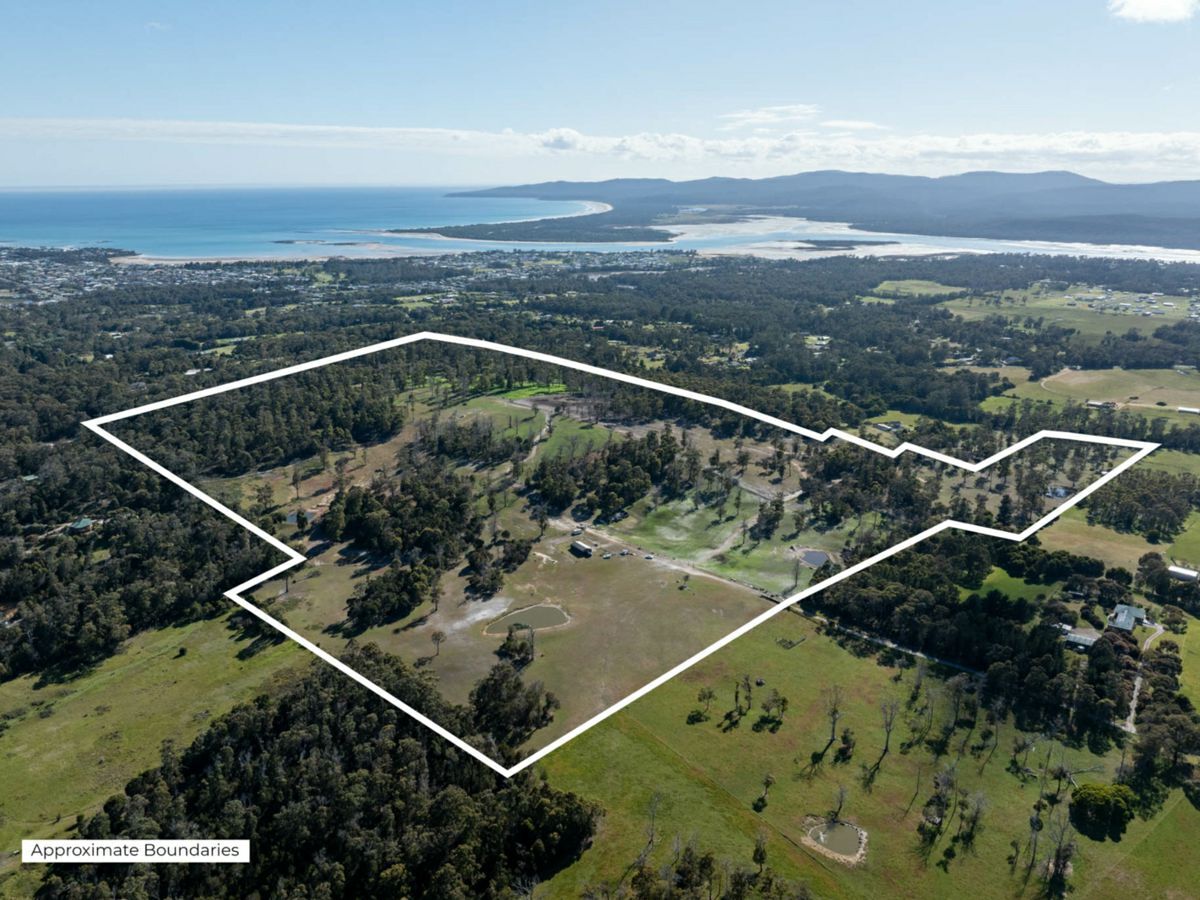 51 Annies Lane, NORTHDOWN, Northdown - Image 1