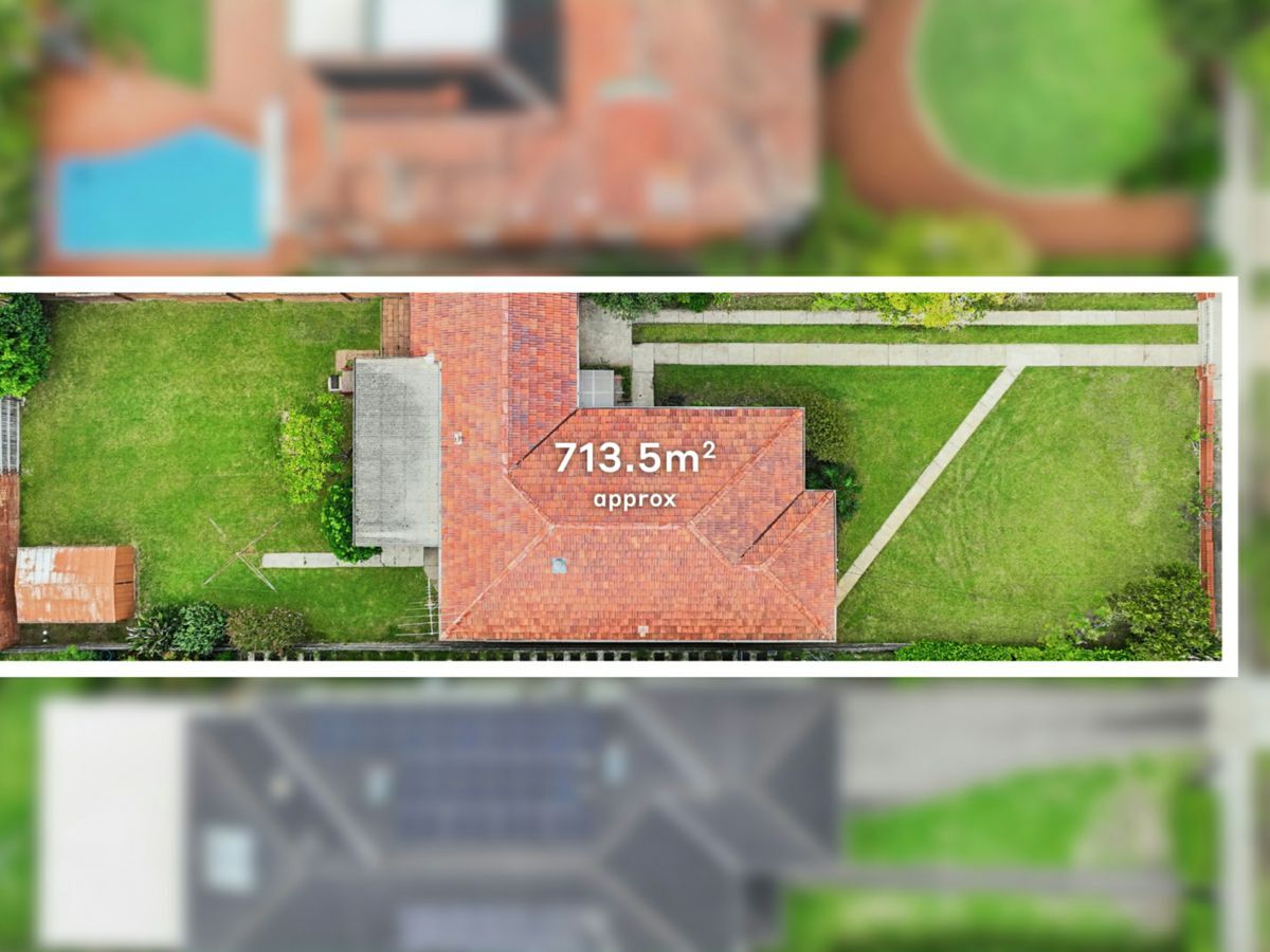 115 Albert Road, STRATHFIELD, Strathfield - Thumbnail 2