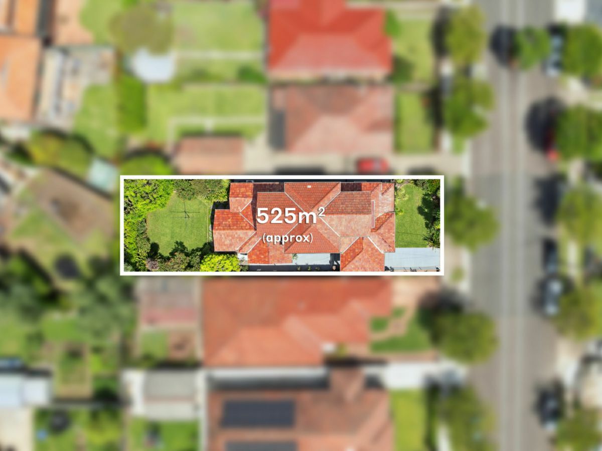 62 Davidson Avenue, CONCORD, Concord - Thumbnail 3