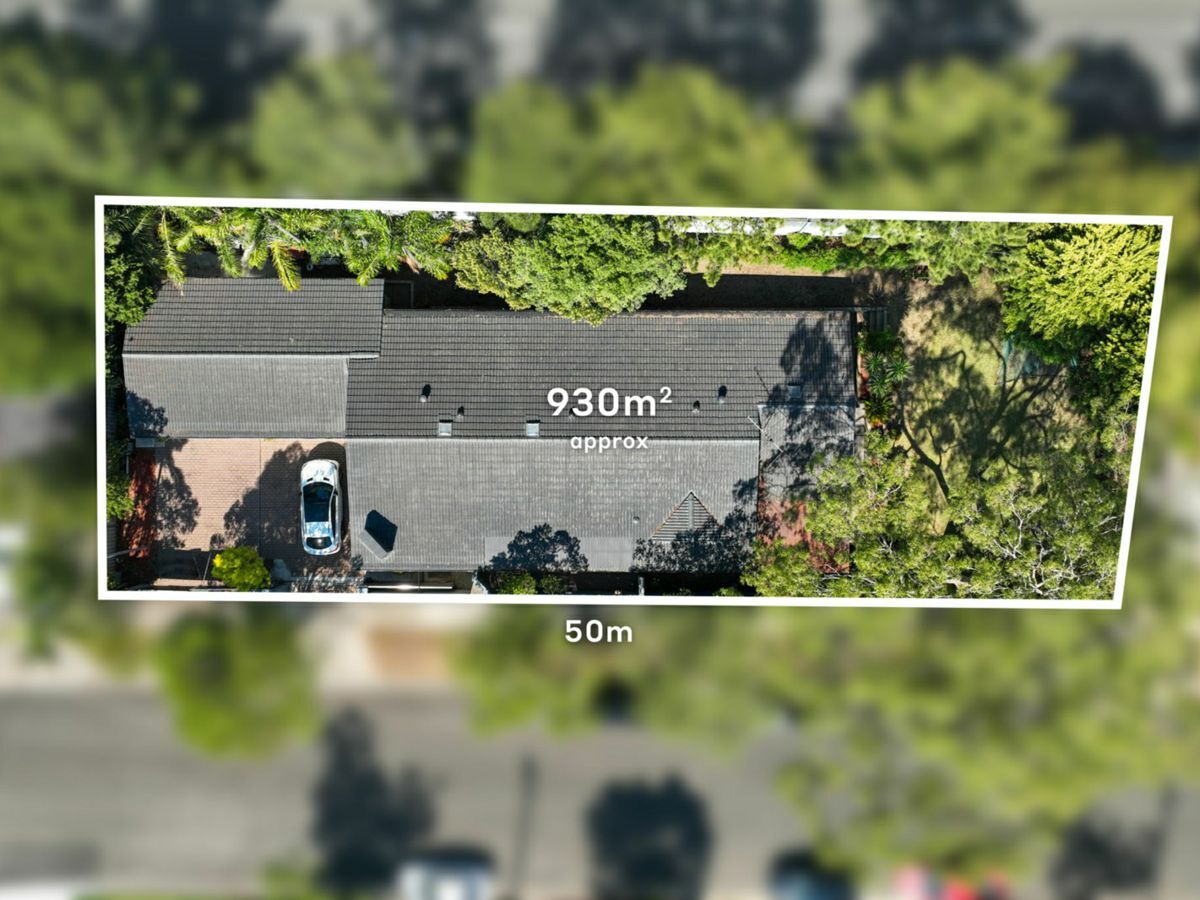 118 Newton Road, STRATHFIELD, Strathfield - Image 1